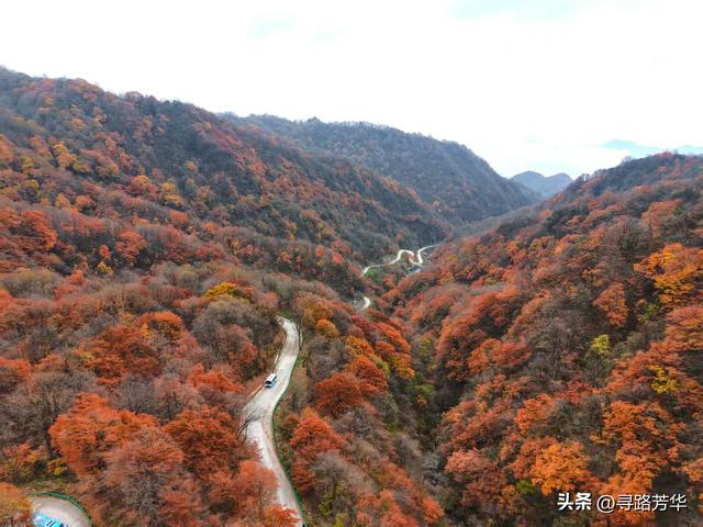 穿行在汉中龙头山的丛林之中