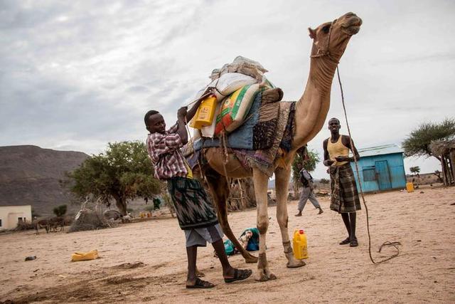 红海大变局！以色列首次承认索马里兰，它的目的是什么？