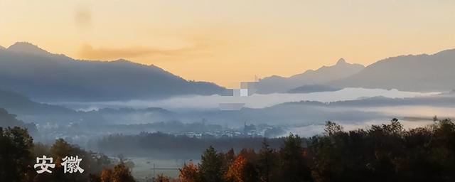 央媒发文！33岁杨紫高调官宣喜讯，事实证明，孙红雷当初没说谎