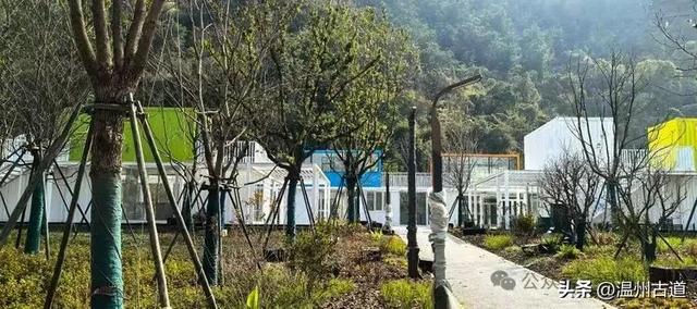 温州园博园将于2月试运营！走，上老虎山看南园北园是什么模样！