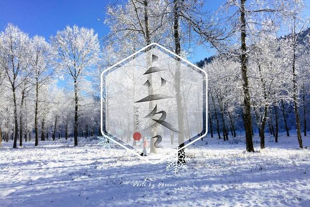 “上午立冬大雪封门	，下午立冬单衣过冬	”，今年立冬是什么时候？