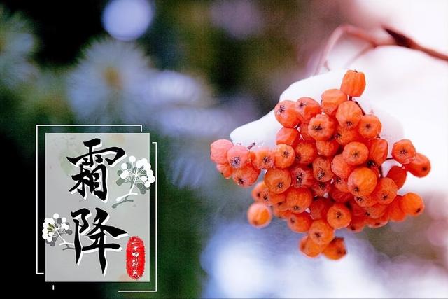 “霜降不听劝，来年坟头见”，明日霜降60年一遇，这4件事不要做