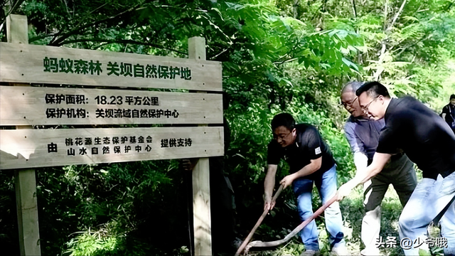 从偷能量到见真树！马云打卡蚂蚁森林，网友：我的梭梭树该看了