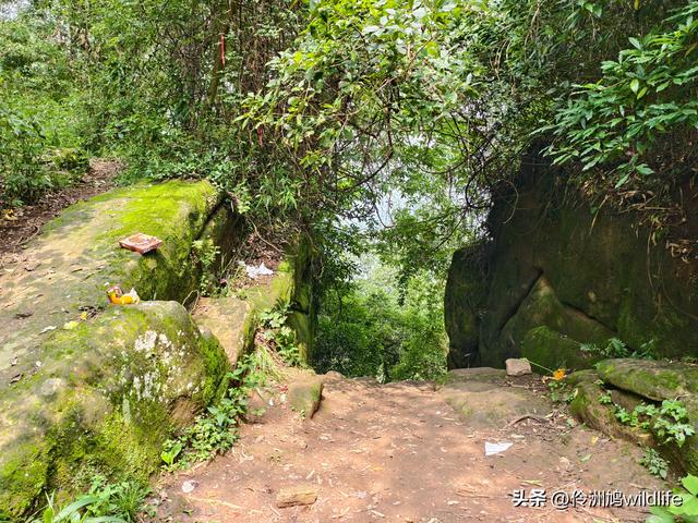 成都徒步（69）·彭州篇⑯法藏寺环线（桥断未走通）