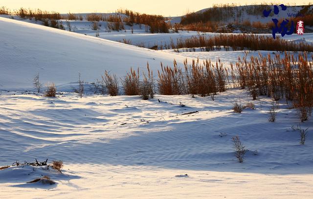 【小陇画报·468期】酒泉：金镶碧嵌的湿地画卷
