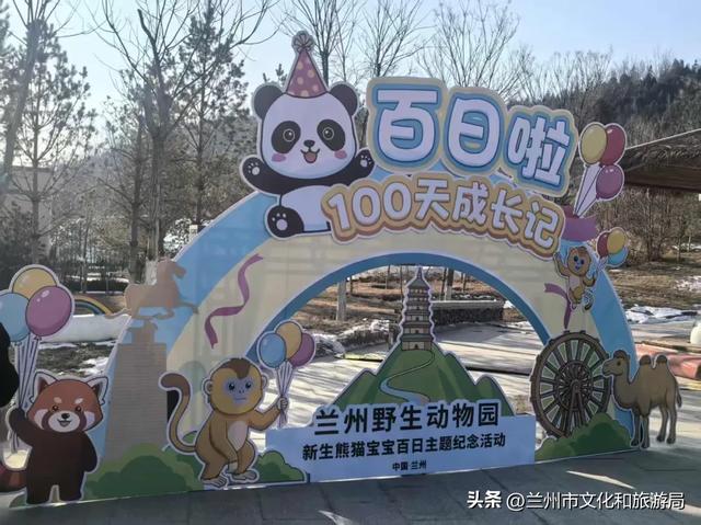 兰州元旦假期文旅活动精彩纷呈