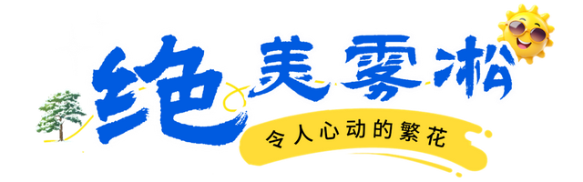 看！我就说汶川的冬天超好玩吧
