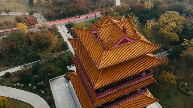 济宁初冬的凤凰台植物园美到犯规