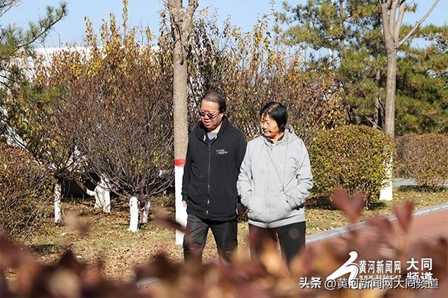 黄花公园秋意深 游客笑语映秋云