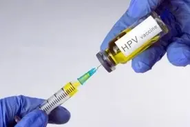浅谈HPV感染图片