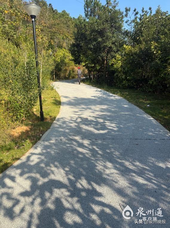 市民健身休闲再添好去处！紫帽山福道完工开放啦