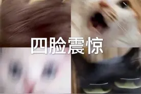 笑麻了，南方人第一次感受东北搓澡要掰开搓很尴尬，笑死在评论区图片