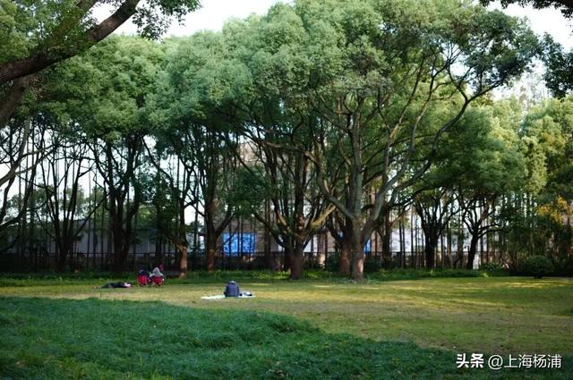 强推！这三条Citywalk路线带你畅游复兴岛和杨浦滨江