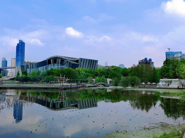 行走在月湖公园