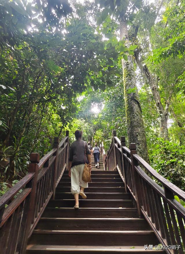 去云南旅游，我们该注意些什么