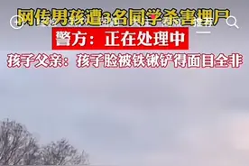 太痛心！一男孩被3名同学长期霸凌，惨遭毁尸灭迹！图片