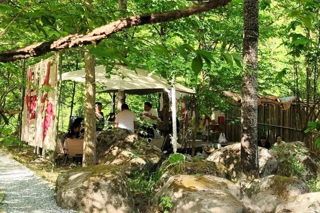 来留坝，给旅行加点“文化”料