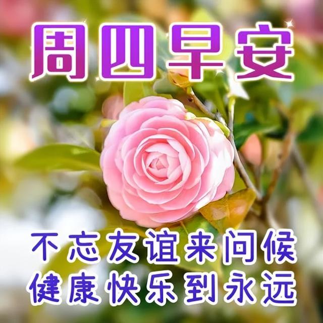 早安暖心短句，早上好祝福语吉祥话，健康天天在，幸福天天来