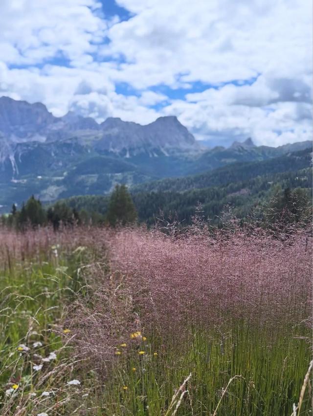 章泽天去意大利徒步登山，她扎高马尾很年轻，坐山顶看风景很惬意