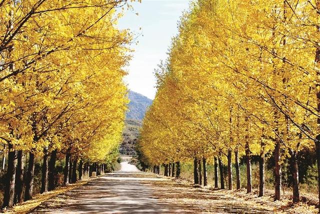 执镜寻秋 入画庞泉