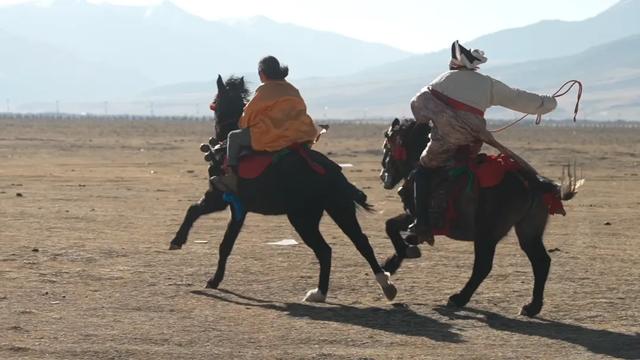 在海拔4000米的川西草原策马，体验理塘藏马，解锁高原浪漫新玩法