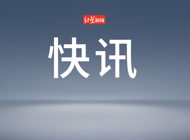 上海中环一人高坠被车辆撞击