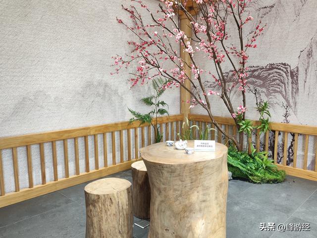 中山公园里的工夫茶展览馆，探秘潮汕地区独特的品茗风俗