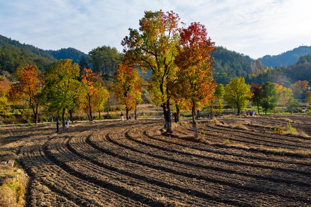 大别山中徐凤冲