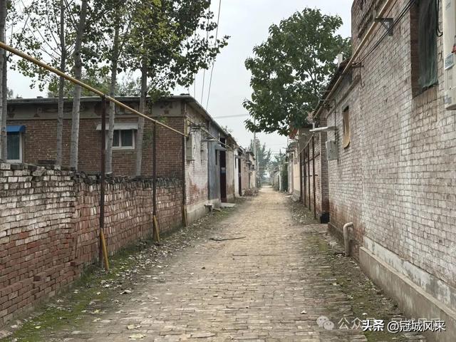 冠县乡韵·桑阿镇野场村