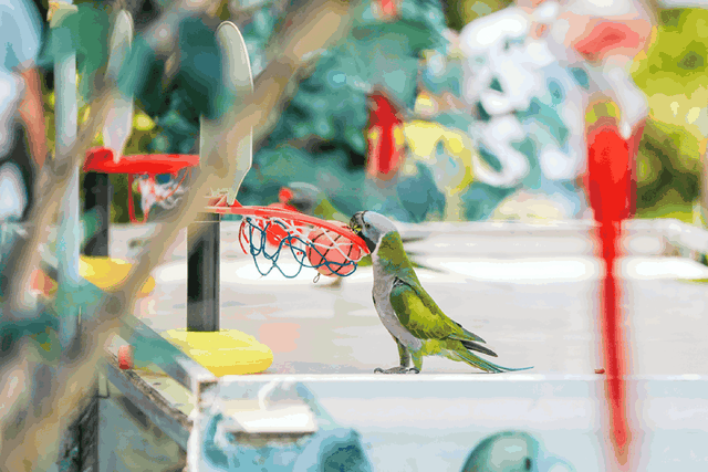 好“牛”！国宝顶流，厦门首展！送票→