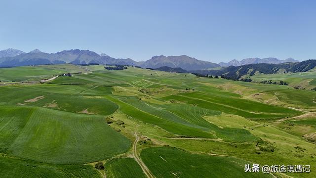 自驾北疆秘境江布拉克，雪山森林草地麦田交相辉映，媲美那拉提