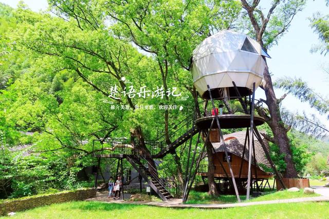 浙江宁波的山间古村，特色民宿藏在树林之中，溪水中流成玩水胜地