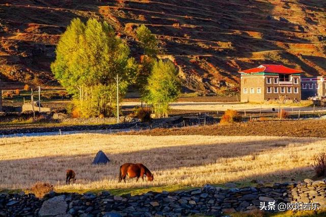 是什么让资深驴友每年秋天都偷偷跑去川西？？