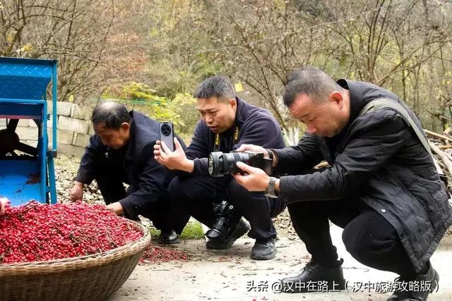 初冬游汉中岳坝，在自然里疗愈身心！