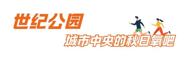 周五宠粉日|3条宝藏慢跑路线解锁秋日运动活力,文末还有海湾国家森林公园门票相赠!