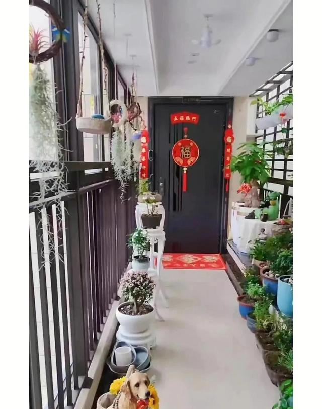 发现一花友花养的太美，“堆满”了楼道，犹如“人间仙境”