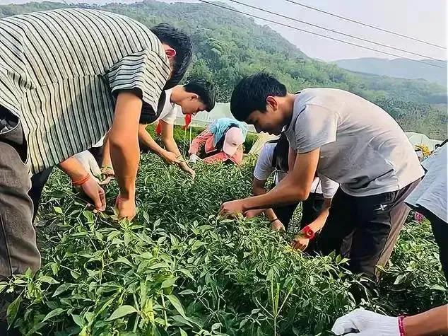 “知青下乡”重启?广东打响第一枪!号召30万青年，下农村