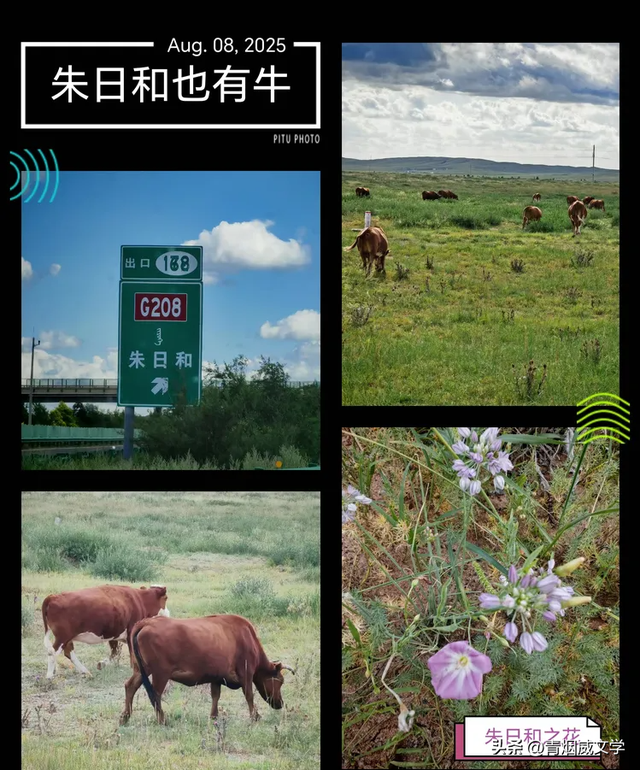 八月闲云行：内蒙古 黑龙江