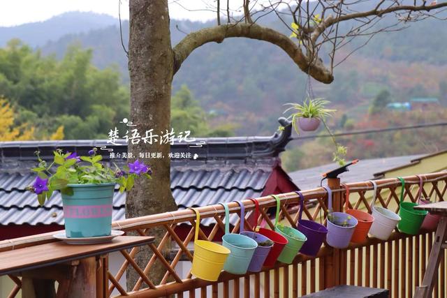 宁波四明山发现一个幽静山村，村口就是红枫银杏胜境，村内更好玩