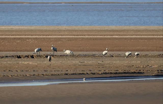 冬天在开封，一定要做这几件事！