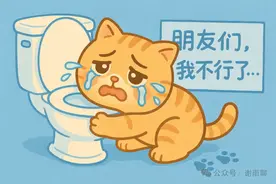 我亲历的痔疮手术：网上找不到的真话（吃饭慎入）图片