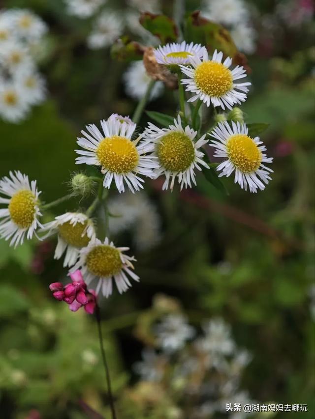 1.5h直达！藏在山野里的捡秋秘境，瀑布+挖宝双buff拉满！