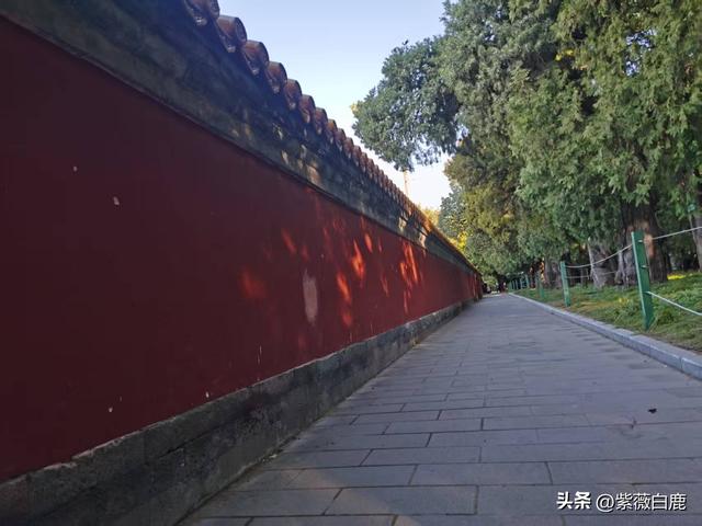 这个秋天，我在地坛