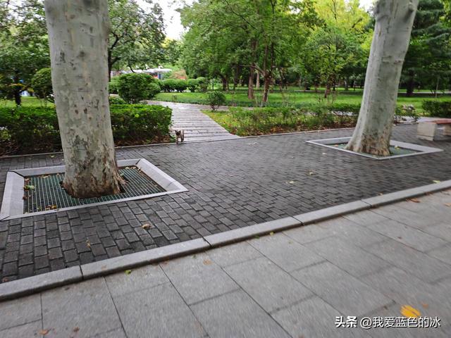 邯郸丛台公园最大的亮点就是里面的一座造型奇特的城堡