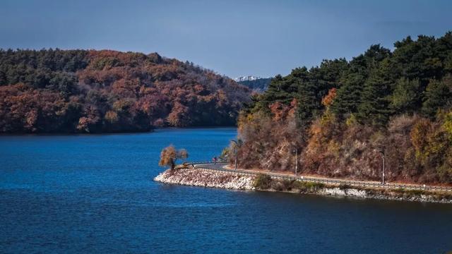 长春一5A级景区官宣：这些人免票！