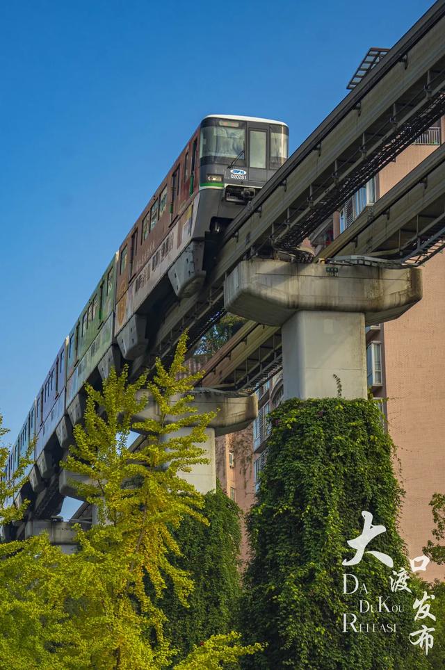 周末不忙，去趟大渡口