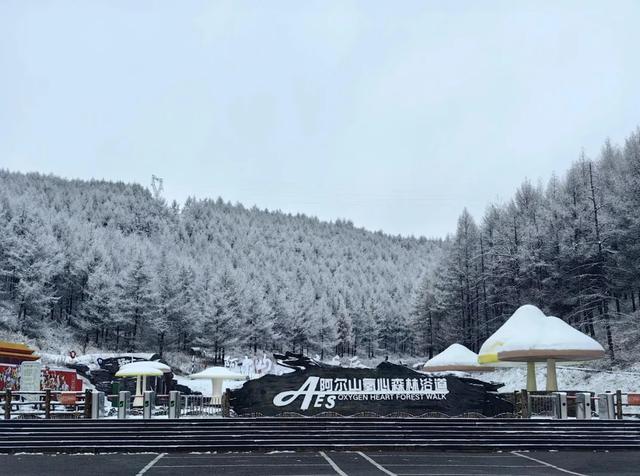 踏雪寻景、雪野狂欢、温泉放松……这条短途自驾线路带你玩转阿尔山