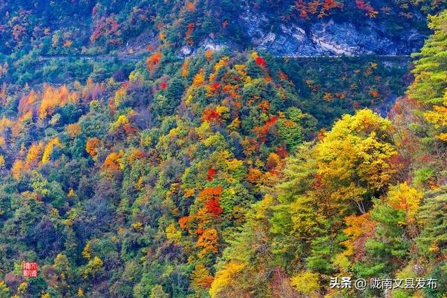 醉美文县：秋色斑斓大岭梁