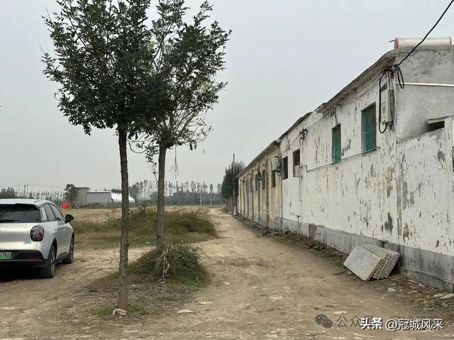 冠县乡韵·桑阿镇野场村