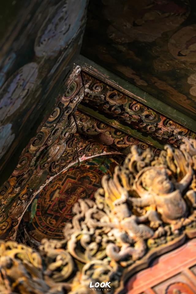 北京最新秋日打卡地 · 再看要等明年